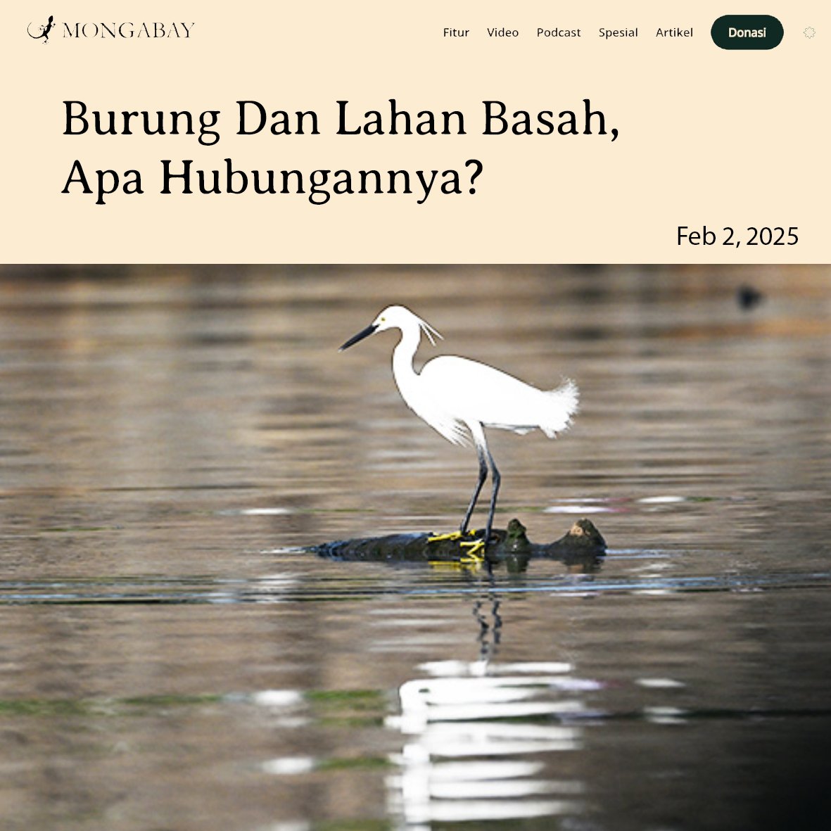 mongabay.co.id