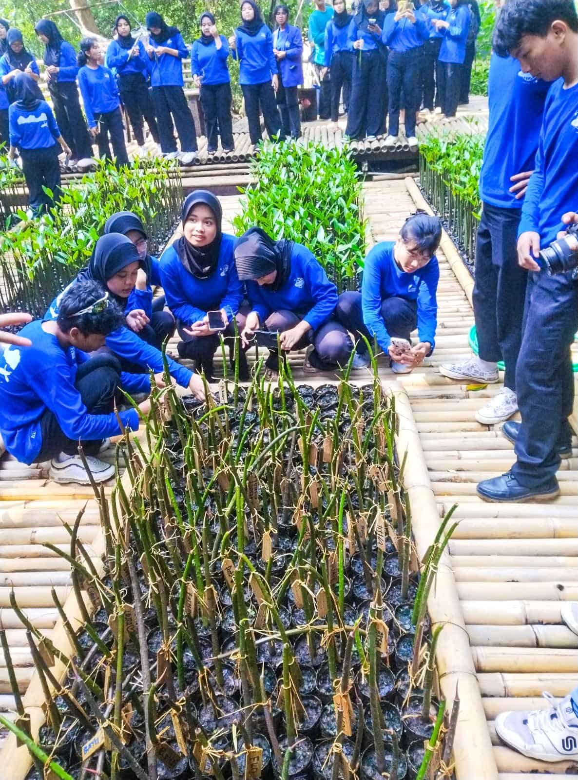 Gambar 1