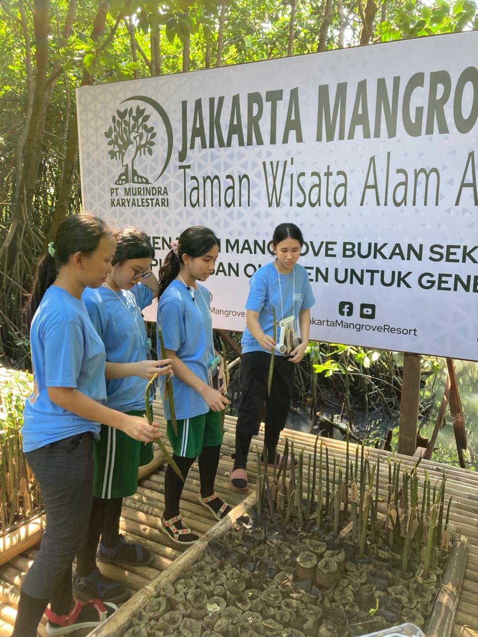 Gambar 1