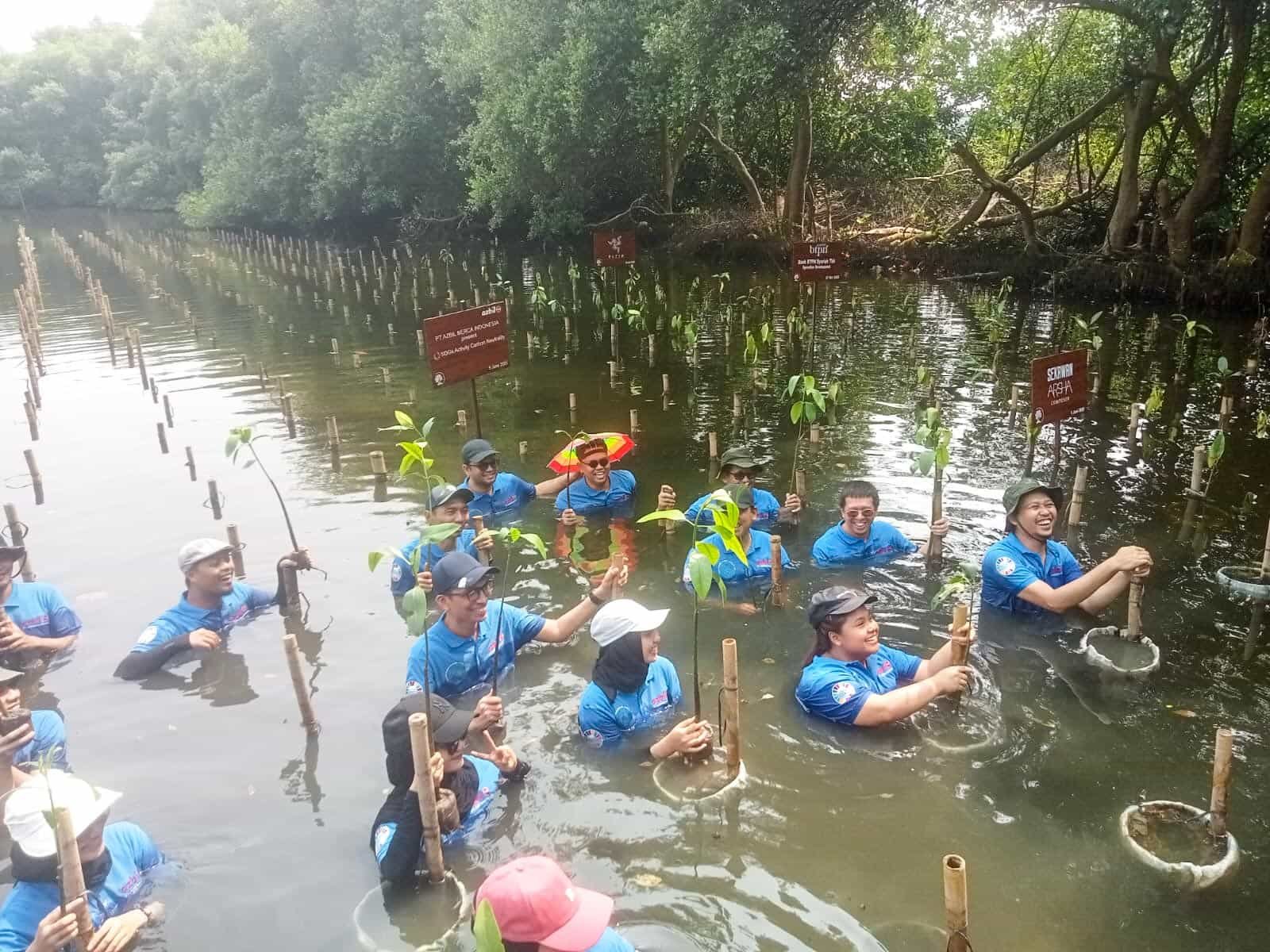 Gambar 1