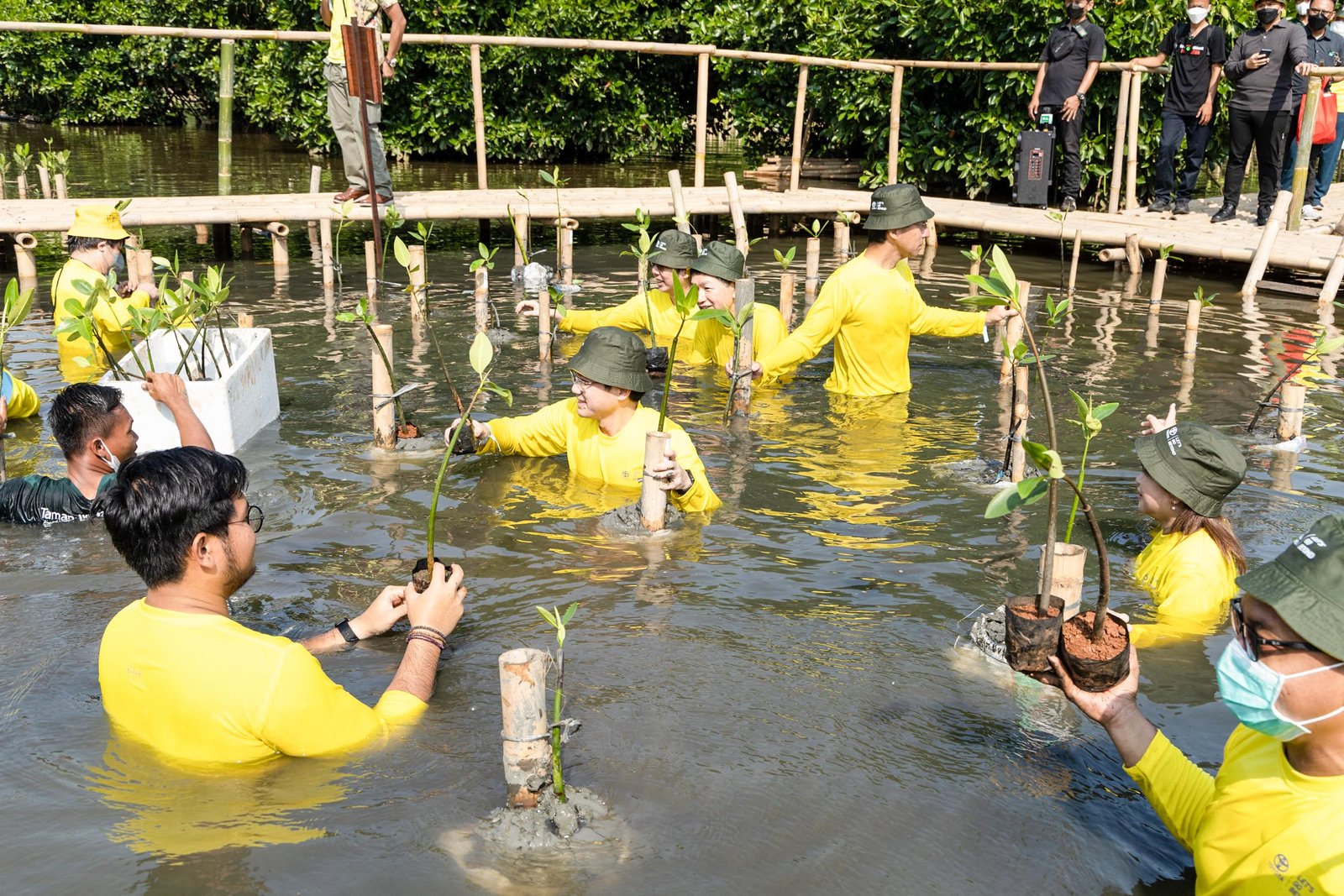 Gambar 1