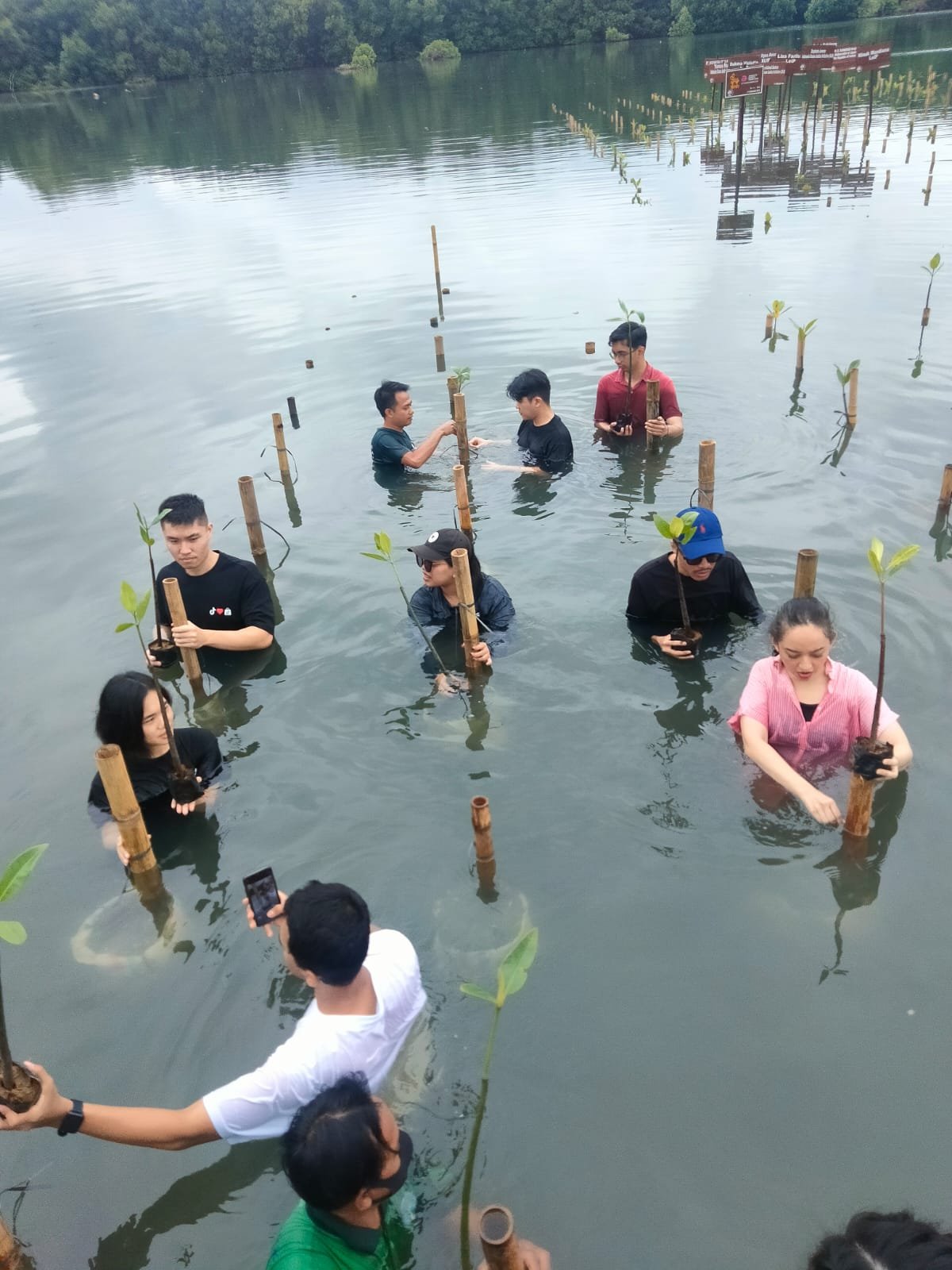 Gambar 1
