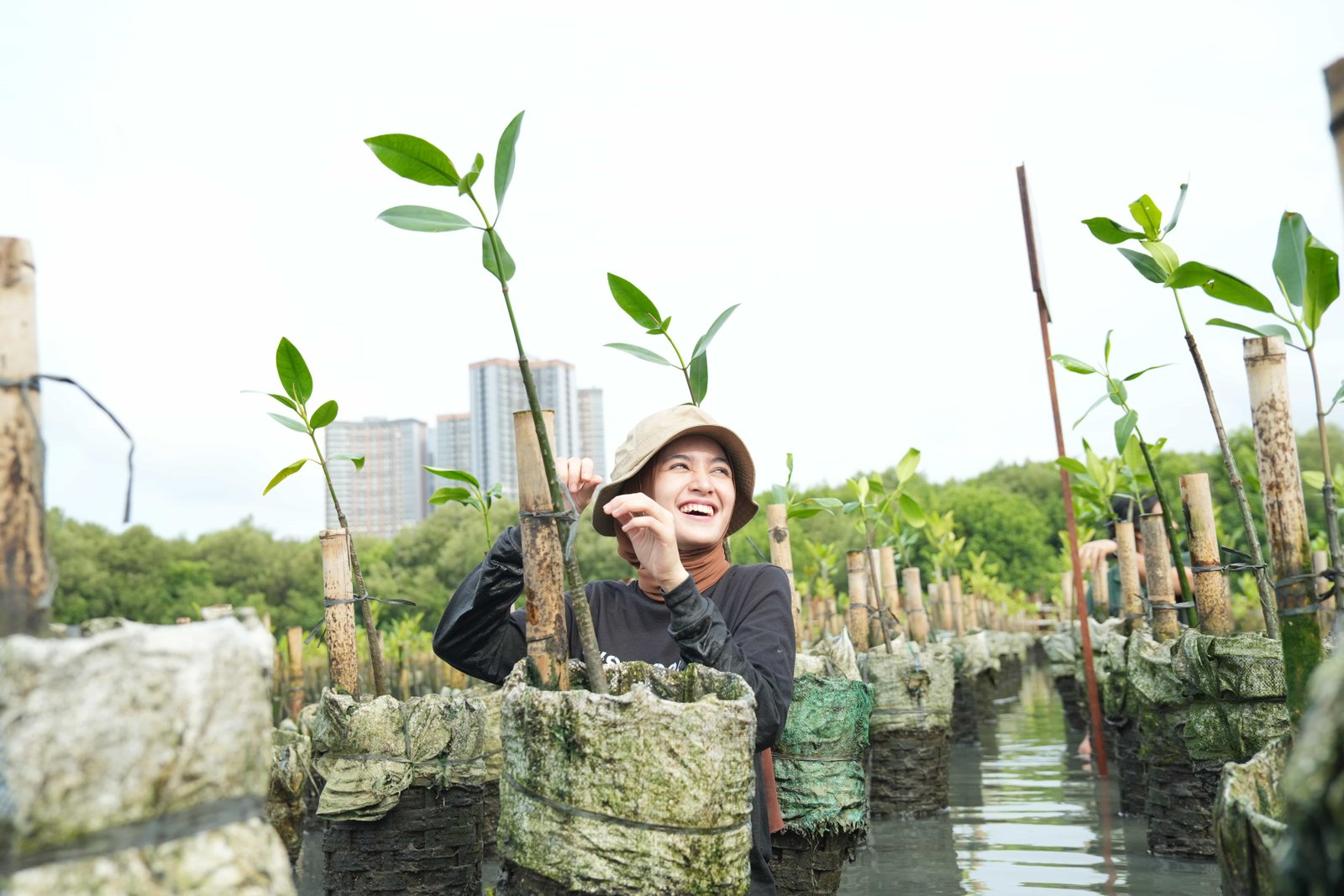 Gambar 1