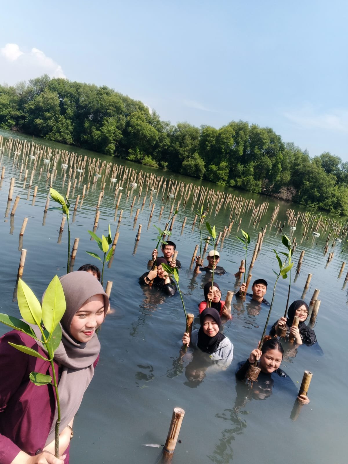 Gambar 1