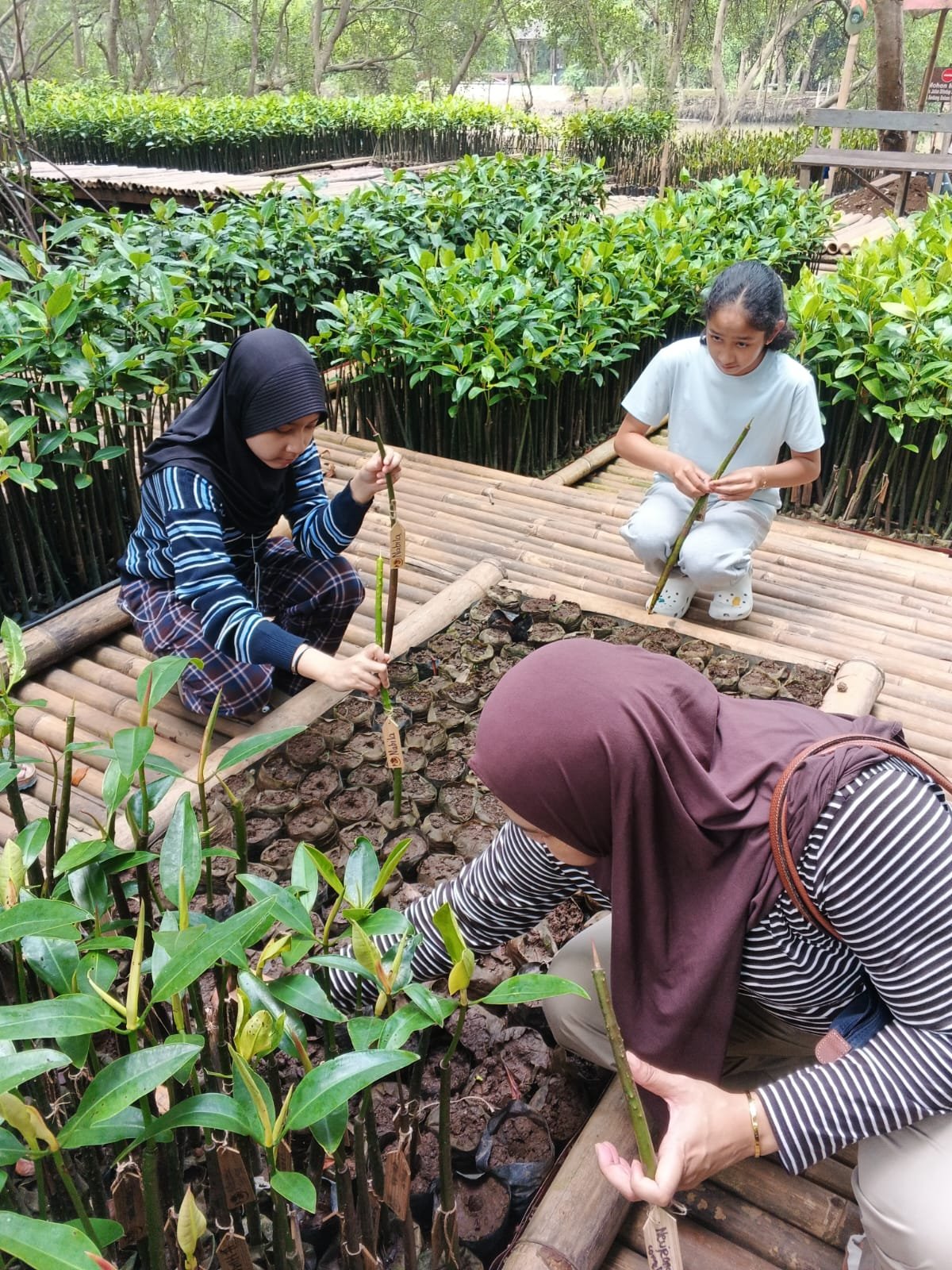 Gambar 1
