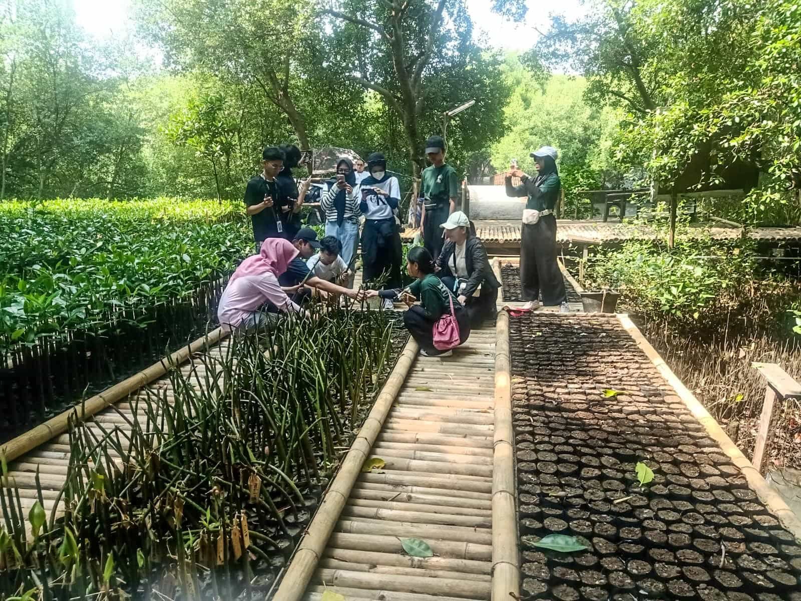 Gambar 1