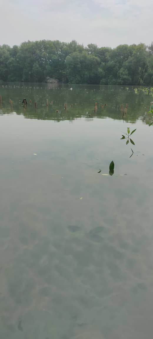 Gambar 1