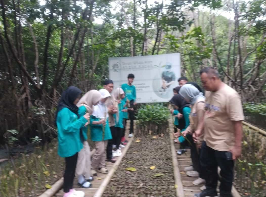 Gambar 1
