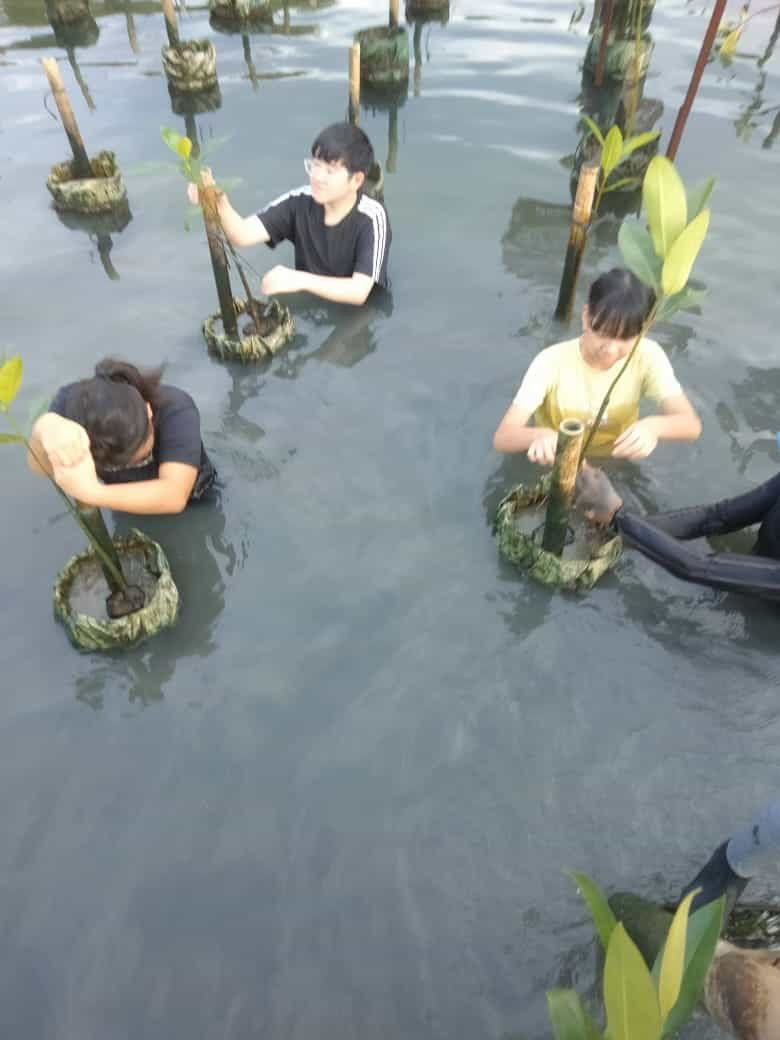 Gambar 1