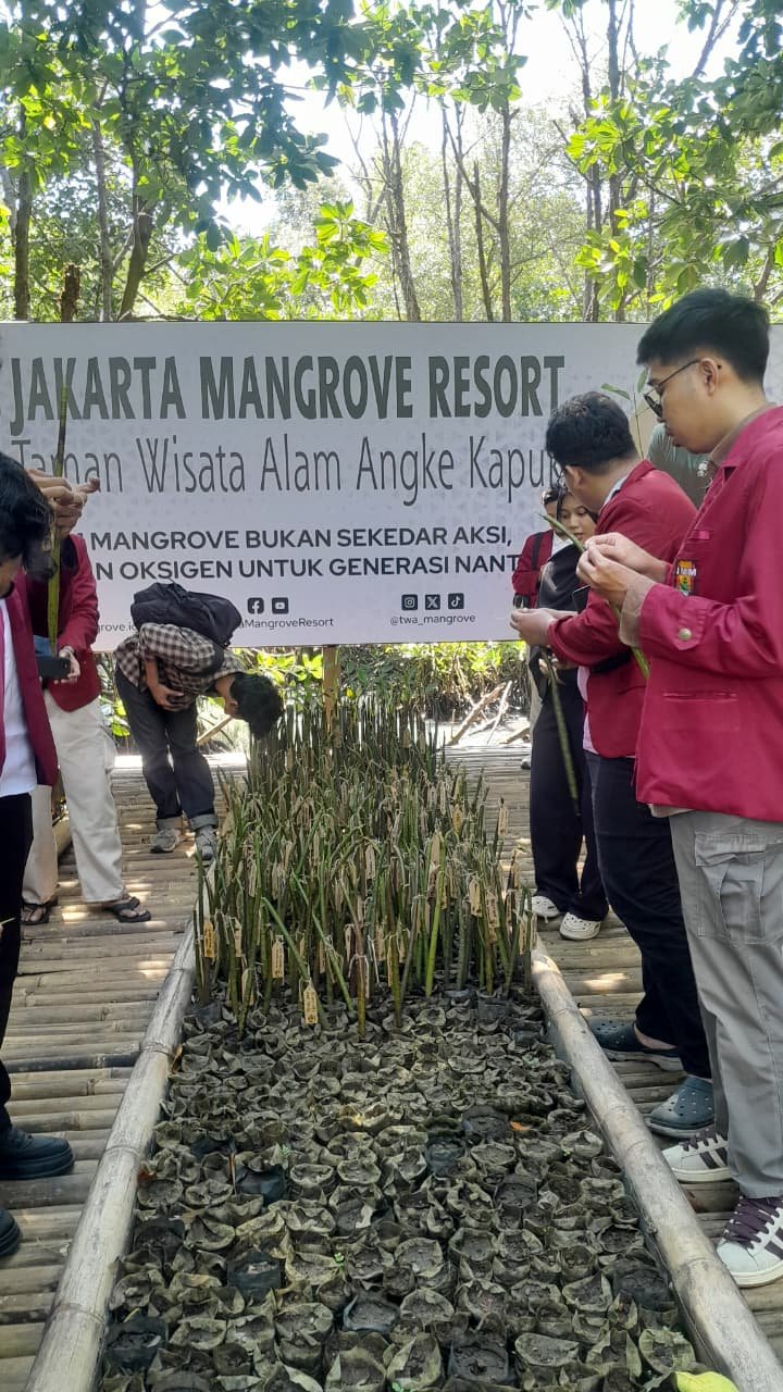 Gambar 1