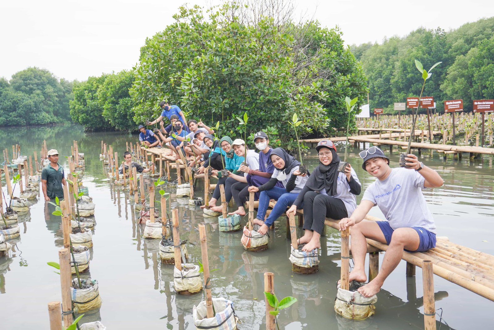 Gambar 1