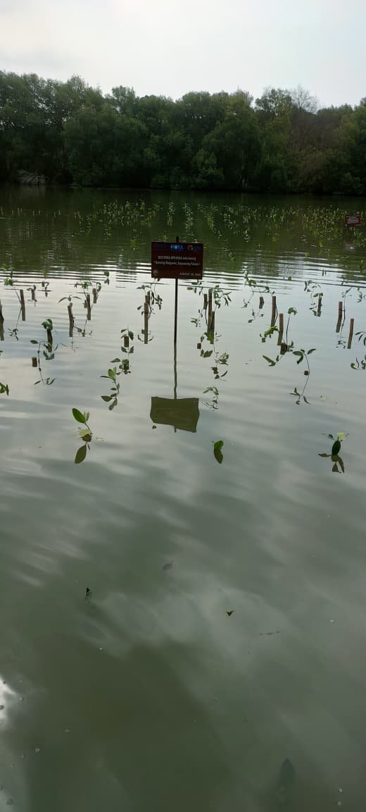 Gambar 1