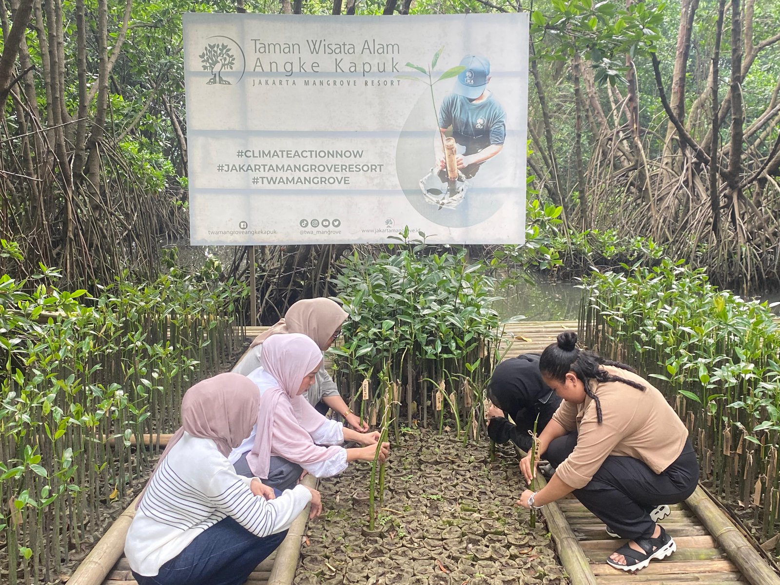 Gambar 1
